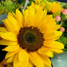 Bouquet rond de tournesols et autres fleurs de saison, Des Lys & Délices, Sion